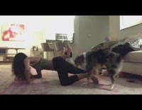 Two girls australian shepherd dog WAP dance