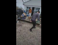 Guy copies an excited lamb and excited lamb jumps too