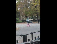 Mascot pigeon walks at park in daytime 