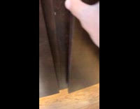 Guy looking for potatoes finds black cat 