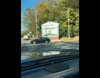 Dog wears prison costume nyc correction department