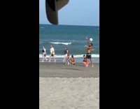 Dalmatian dog sit girl bikini beach