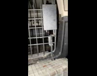 Small rat escaped chicken coup cage at night