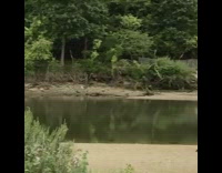 Guy on rock girl white rowboat boat 