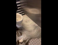 Bubbly flood water overflow from public bathroom