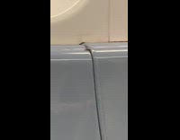 Cockroach climbing on subway seat in new york
