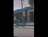 Guy speaking spanish driving stops to look at anime girl 