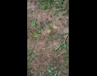 Collab Clips MPUGC - Man hears pounding sound from underground 