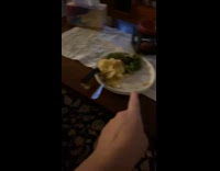 Dog sneak to eat porkchop on table