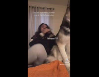 Girl in bed pretends to get scared and her dog looks around