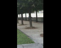 Blue shirt guy runs selfie stick park 