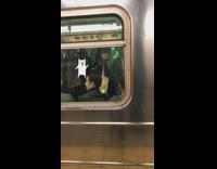 Woman carries a pink Shiba Inu tote bag on the subway