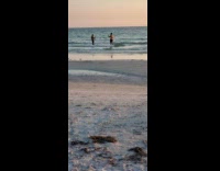 Collab IITW - Two men takes different selfie near each other at the beach
