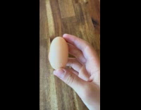 Submitter shows weird shaped chicken egg