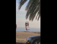 Three women flexible pole dance beach sunset