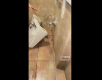 Collab BitchMP - Girl tries to lift and fix broken sink 