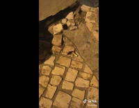 Cockroach on floor carrying a cigarette butt 
