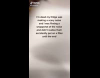 Collab BitchIG2 - Shrek face filter fridge was making funny noise 