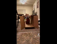 Little girl red wagon hits head on cardboard box 