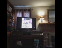 Cat on sofa watch daily dose with filmer