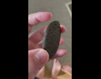 Oreo with filling on wrong side of cookie 