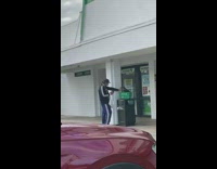 Dog sunglasses sit on green basket