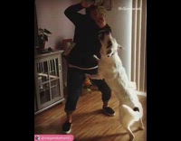 guy in black hoodie tossing money at white dog in slomo