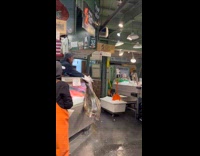 Man Throws Big Fish Towards Butcher and Fails