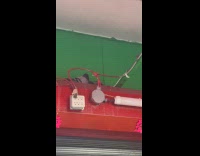 Pigeon has nest on top of metal shutters 