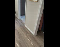 Brown cat makes loud noises