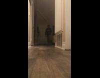 Adorable cat learns how to play fetch