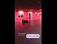 Guy lays back silver dress girl festival 