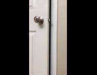 Little girl opens bathroom door toilet paper