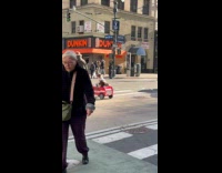 Dog ride mini firetruck cross the street