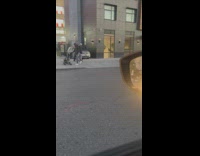 Dog Walks Away with Street Cone on it