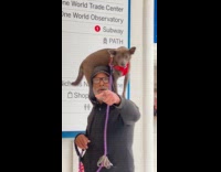 Man has dog on shoulders while roaming mall 