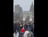 People in park jumping while cheering and throwing snow