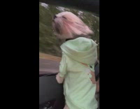 Pet dog on the car window blows its fur