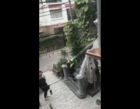 Collab IITW - Guy on Green Dances on Stairs 