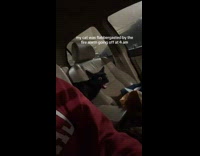 Black cat open mouth shocked reaction inside car