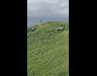 Man top of grass hill punching air 