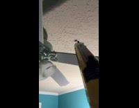 Bug on ceiling shot fly towards filmer