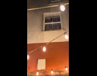 Guys singing to cat in window