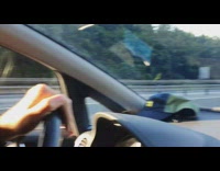 Pigs on side of freeway car accident 