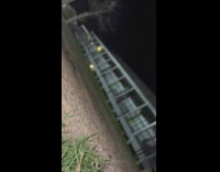 Guy rescues cat stuck in howl under sidewalk cement