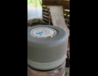 Small bug runs on top of a tumbler