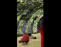 Woman on the ground raises feet at the park Part 2