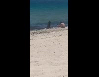 Girl kneels back to camera guy beach