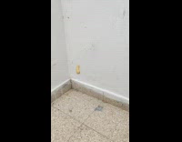 Floating bamba puff because of spider web