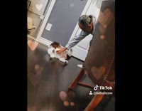 Guy bends down pets small brown dog